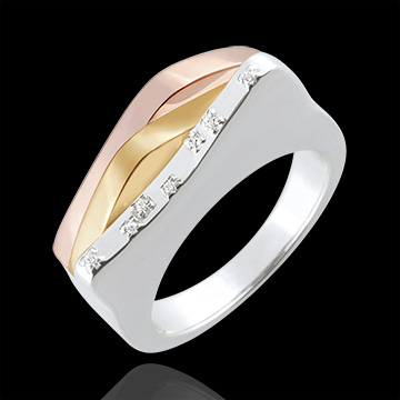plater�a Anillo l�neas originales