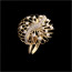 joya Anillo v�rtigo del jard�n de Edenly