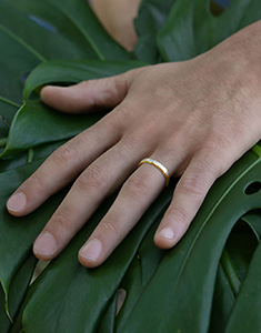 Promesa n.º 32
